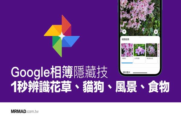 Google相簿隐藏技：1秒辨识花草植物、猫狗、风景、食物