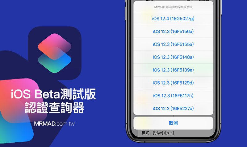 iOS测试版认证查询 替代捷径工具